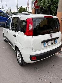 Panda bianca 2016