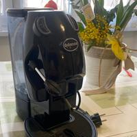 Baby Frog a cialde ese 44