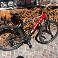 Bicicletta mtb Kastle