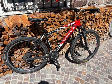 Bicicletta mtb Kastle