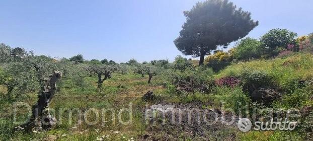 Terreno agricolo 3.200mq zona doc a castiglione - Vista 4