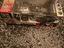 Immagine 5