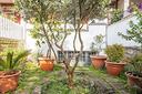 villa-a-schiera-roma-villa-dronerovrg-