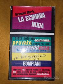 la scimmia nuda