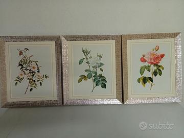 Stampe Redoute' Roses