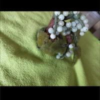 Piantina in Giada   bonsai 