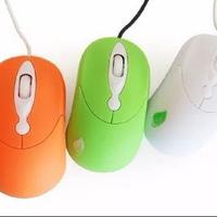 Mouse Multicolor  1000PZ