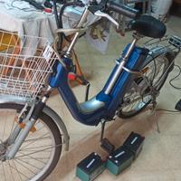 bicicletta elettrica 