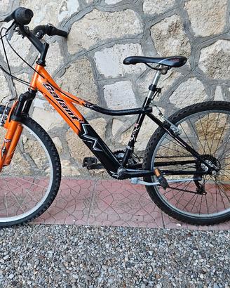 Bici 24 pollici