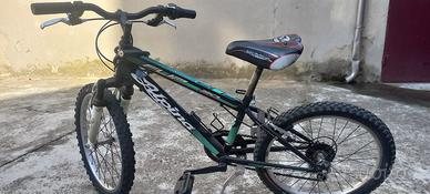 Bicicletta Mountain Bike Alpina ruota 20x1.90