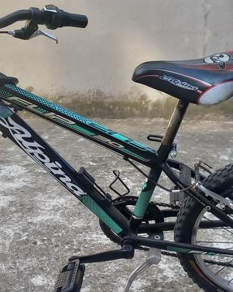 Bicicletta Mountain Bike Alpina ruota 20x1.90