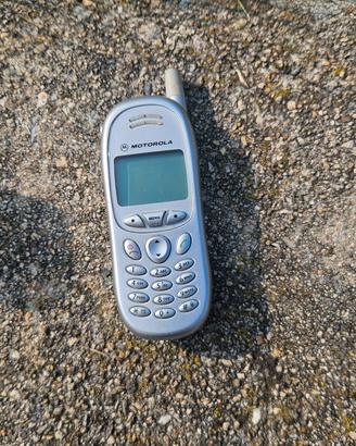 MOTOROLA