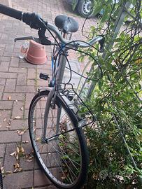 bicicletta bisex 