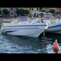 Ranieri Voyager 17