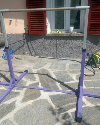 Parallele sbarra ginnastica artistica