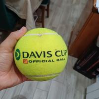 Palla da tennis jumbo autografata Coppa Devis 23