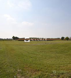 Rif.ZT55_10| terreno agricolo trevignano