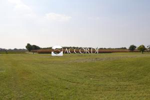 Rif.ZT55_10| terreno agricolo trevignano