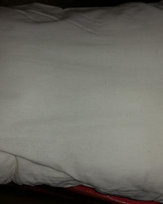 Interno per cuscino divano/letto IKEA - quantità 4