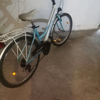 Bicicletta ragazza "Aurora"