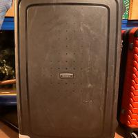 Valigia trolley con rotelle