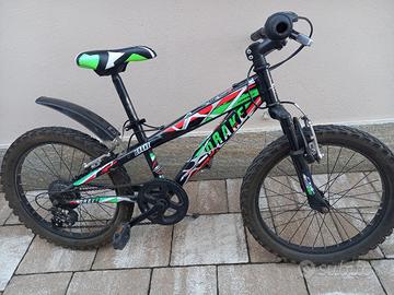 bicicletta ragazzo
