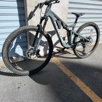 bici focus thorn 6.8 trail