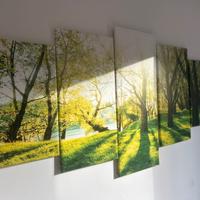 Quadro 5 pannelli 200*100cm, bosco luminoso