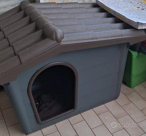 cuccia in resina per cani