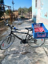 Bici Da Passeggio 28 Da Uomo 