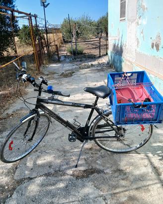 Bici Da Passeggio 28 Da Uomo 