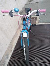 bicicletta 20