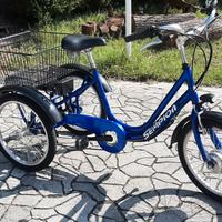 Bicicletta triciclo pedalata  assistita