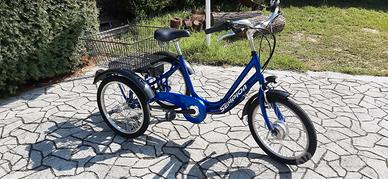 Bicicletta triciclo pedalata  assistita