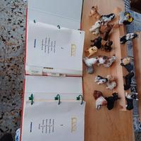 enciclopedia del cane + miniature 