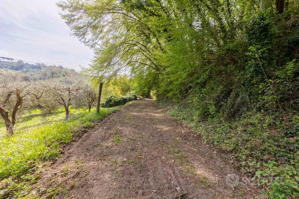 Rustico / Casale di 47 m² con 2 locali a Nazzano - Vista 5