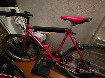 Mountain Bike Chesini 