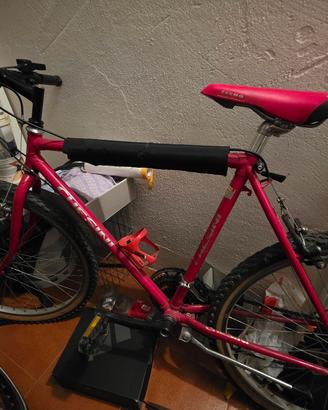 Mountain Bike Chesini 