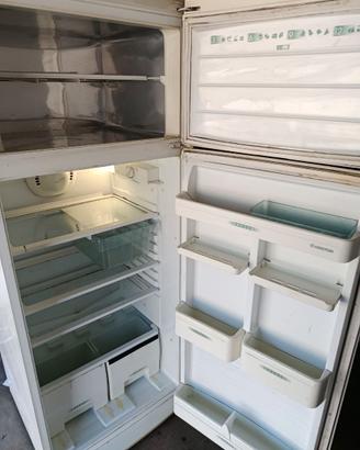 frigo