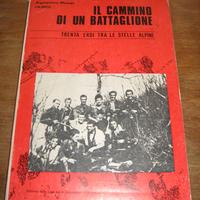 IL CAMMINO DI UN BATTAGLIONE AGOSTINO ROSSI 1975
