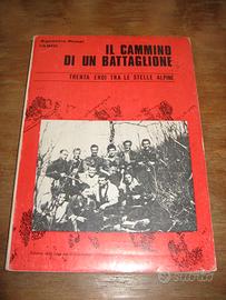 IL CAMMINO DI UN BATTAGLIONE AGOSTINO ROSSI 1975