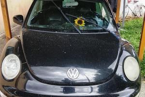 Volkswagen New Beetle INCIDENTATA