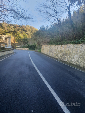 4 terreni località ceramida di bagnara calabra