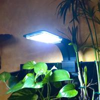 Lampada led acquario 
