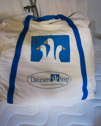 PIUMINO DAUNEN STEP 0,850 kg