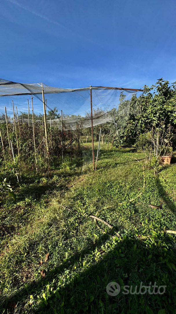 Terreno Agricolo edificabile - Vista 2