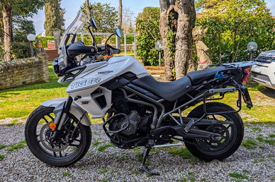 Triumph Tiger Xrx 800 - Anno 2019 -