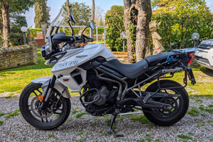 Triumph Tiger Xrx 800 - Anno 2019 -