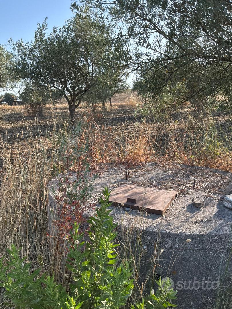 2 Terreni Uliveti - Castellana Sicula (PA) - Vista 5