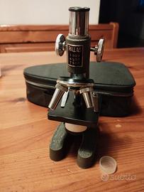 microscopio 
